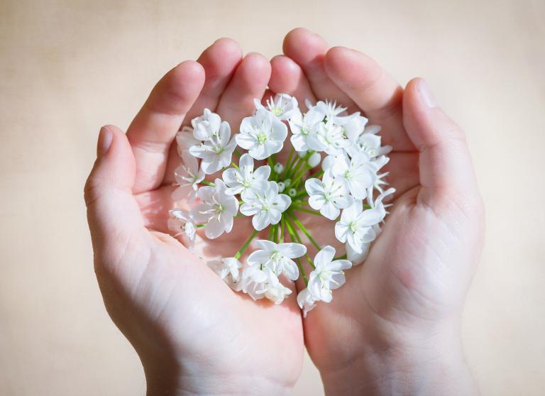 Hands and Flowers